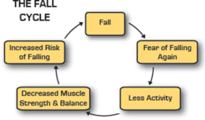 the-fall-cycle